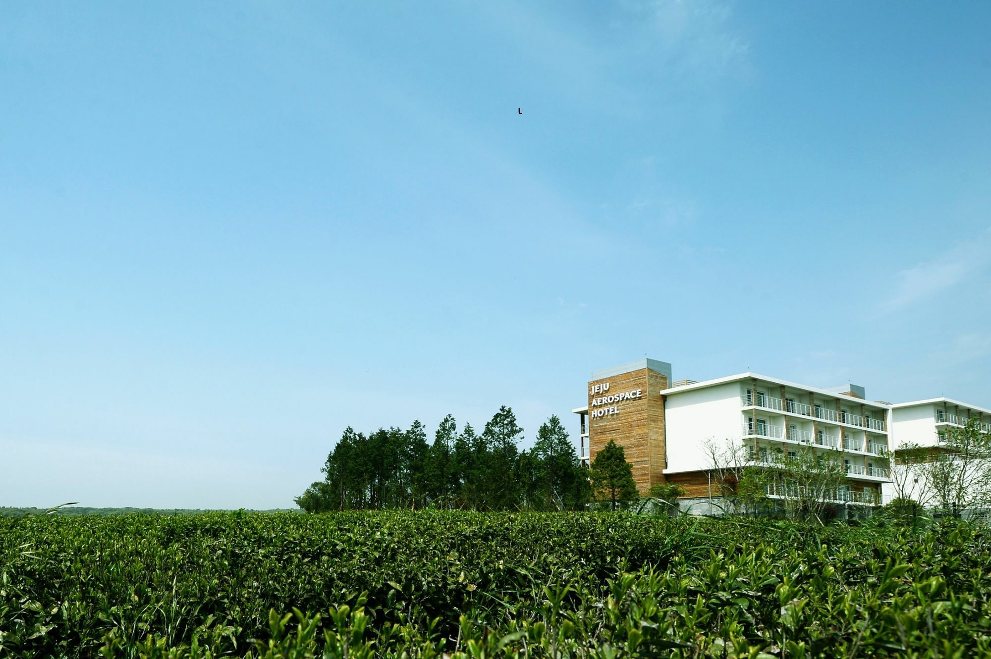 Jeju Aerospace Hotel Seogwipo Exterior photo